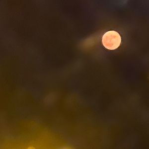 Meet your Posher, Serenity